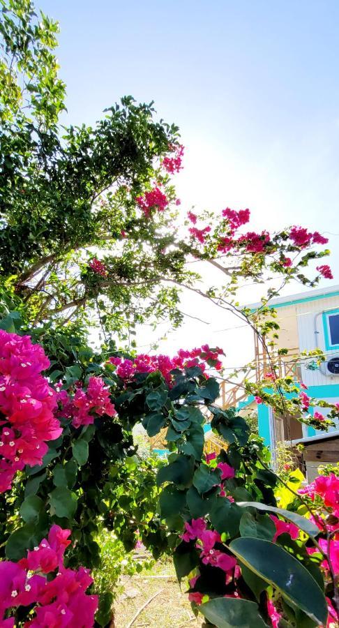 Colorful Garden House Bed & Breakfast Providencia  Luaran gambar