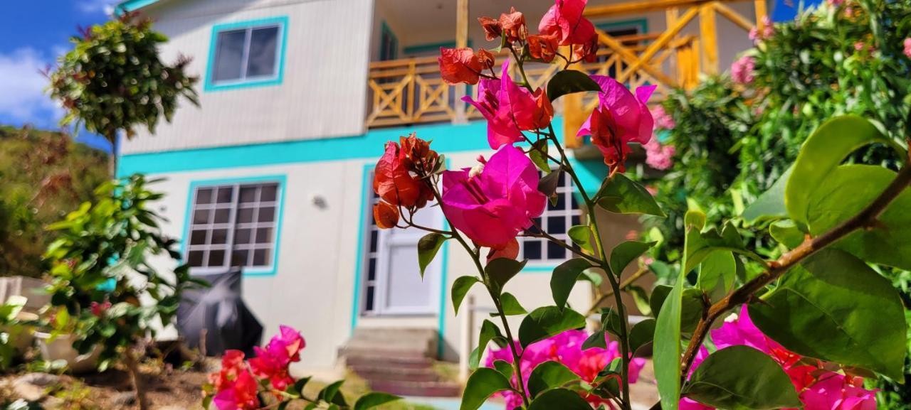 Colorful Garden House Bed & Breakfast Providencia  Luaran gambar